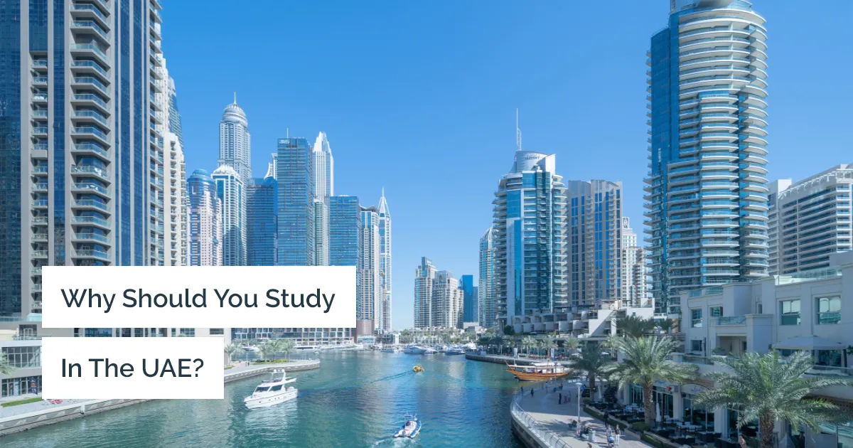 Why should you study in UAE?