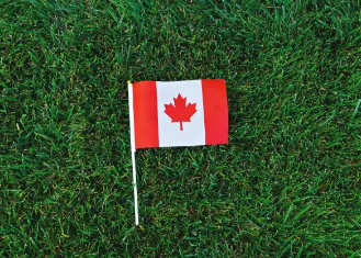 new-open-work-permit-for-pgw-holders-in-canada